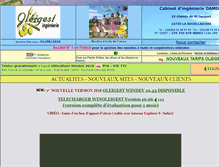 Tablet Screenshot of oleigest.com